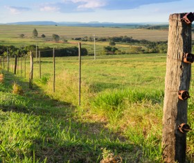Pasture barbed iron fence Stock Photo 03