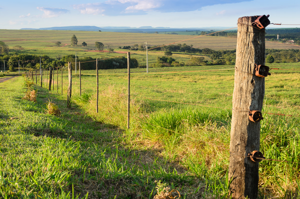 Pasture barbed iron fence Stock Photo 03