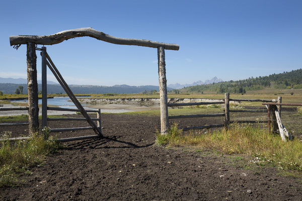 Pasture barbed iron fence Stock Photo 04
