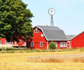 Red houses after large tracts of farmland Stock Photo