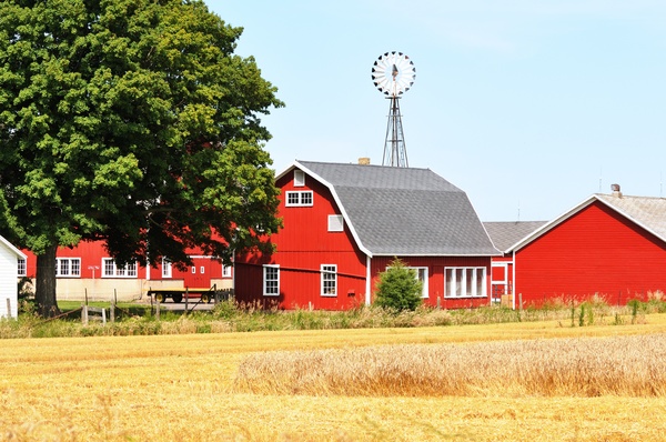 Red houses after large tracts of farmland Stock Photo