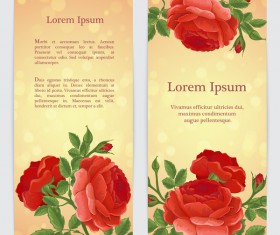 Red rose banner template vector