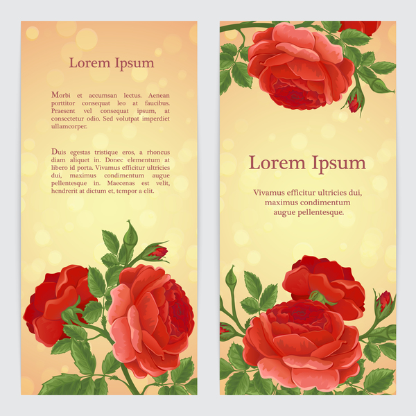 Red rose banner template vector