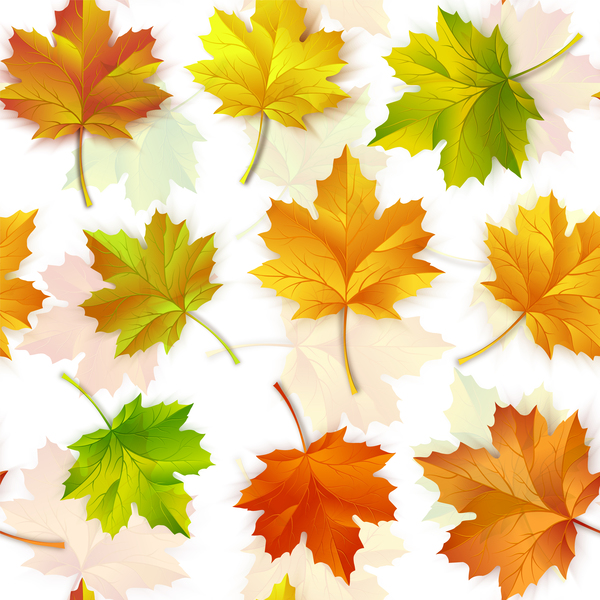 Seamless maple leaves pattern vectors