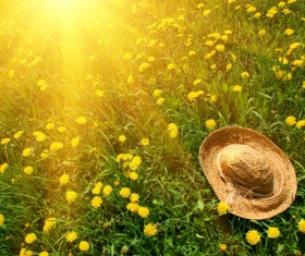 Straw hat on wildflower meadow Stock Photo