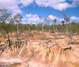 Suffer from the destruction of nature Stock Photo