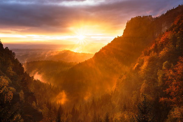 Sun beam on beautiful forest mountain scene Stock Photo