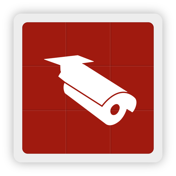 Surveillance icon vector
