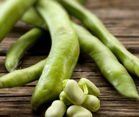 Tasty autumn food Stock Photo 09