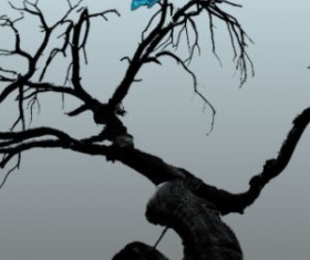 Tree Trunks Photoshop Brushes