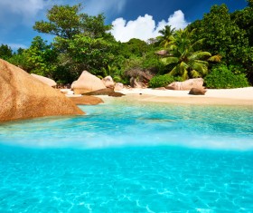 Underwater world of tropical islands Stock Photo 01
