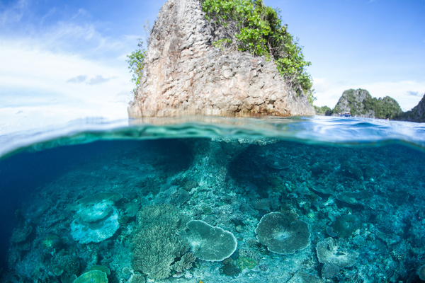 Underwater world of tropical islands Stock Photo 02