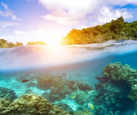 Underwater world of tropical islands Stock Photo 05