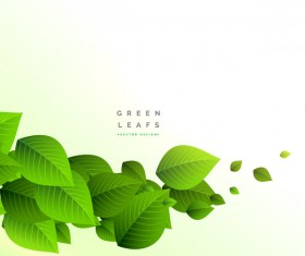 Vector green leaves background design 01
