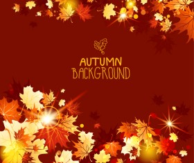 autumn leaves with red background vector