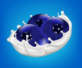 berry with milk splash vector illustration 03