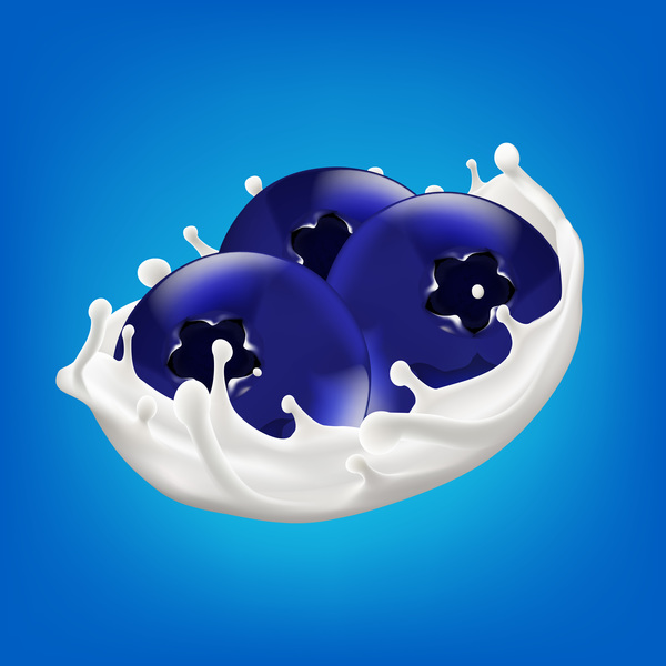 berry with milk splash vector illustration 03
