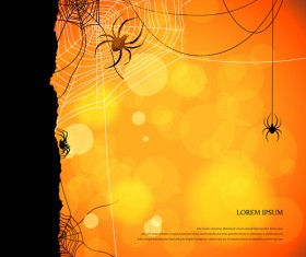 spider with night background vector