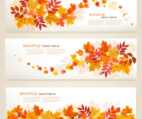 three autumn banners with colorful leaves vector
