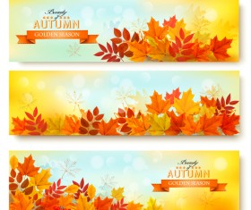 three nature autumn banners with leaves vector