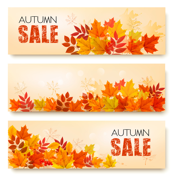 three nature sale autumn banners with leaves vector