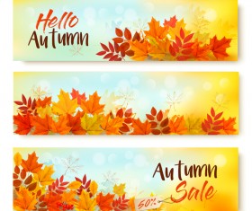 three sale autumn banners with leaves vector