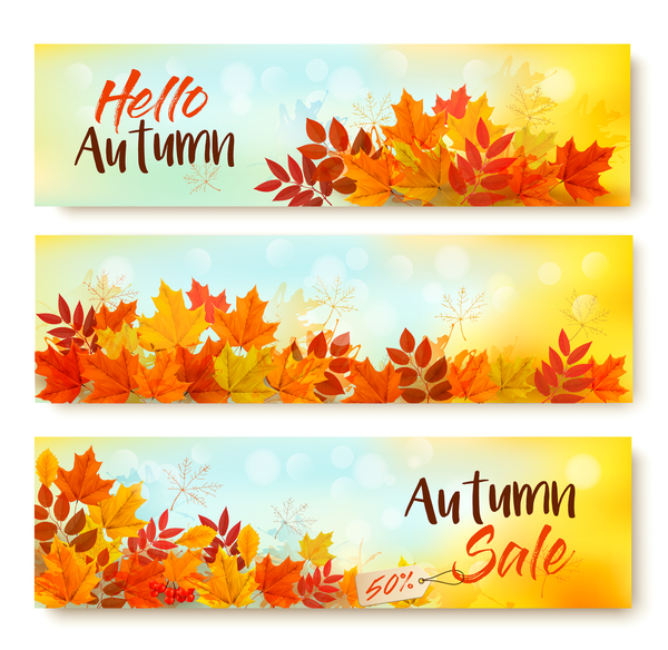three sale autumn banners with leaves vector