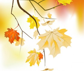 tree branches with gold autumn leaves vector