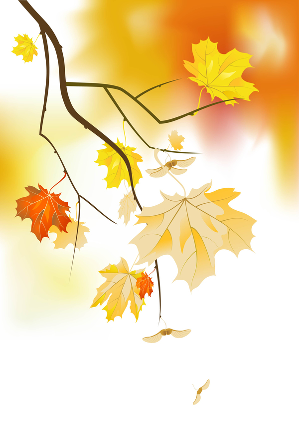 tree branches with gold autumn leaves vector