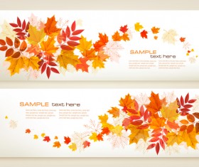 two autumn banners with colorful leaves vector