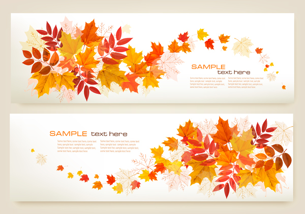 two autumn banners with colorful leaves vector