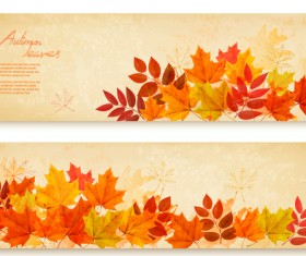 two retro autumn banners with leaves vector