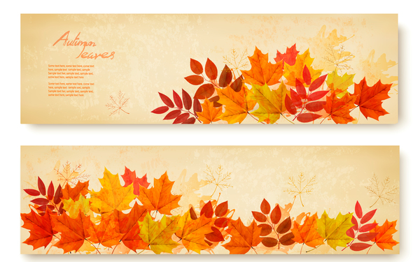 two retro autumn banners with leaves vector