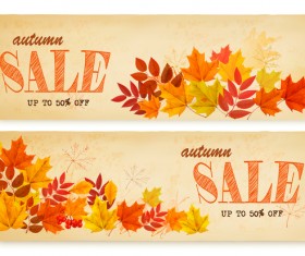 two sale autumn banners with leaves vector