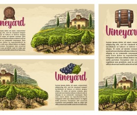 vineyard farm poster template vector 01