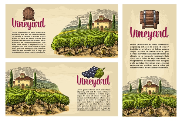 vineyard farm poster template vector 01