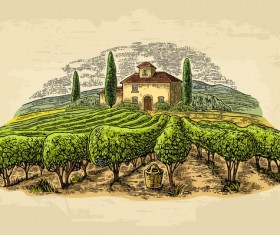 vineyard farm poster template vector 02