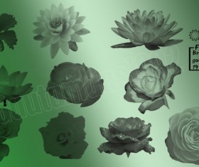 10 Kind Flowers Photoshop Brushes