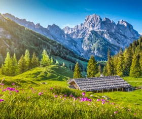 Alps mountain meadow landscape Stock Photo 09