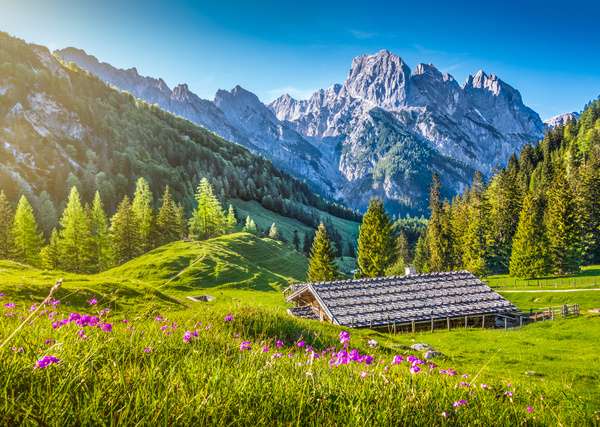 Alps mountain meadow landscape Stock Photo 09