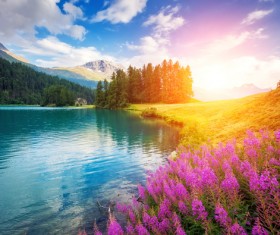 Alps mountain meadow landscape Stock Photo 10