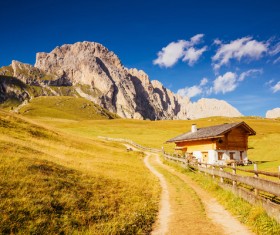 Alps mountain meadow landscape Stock Photo 11