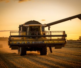 Autumn agricultural harvest Stock Photo 02