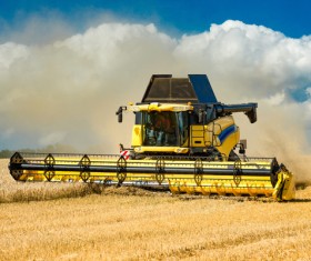 Autumn agricultural harvest Stock Photo 03