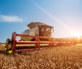 Autumn agricultural harvest Stock Photo 05
