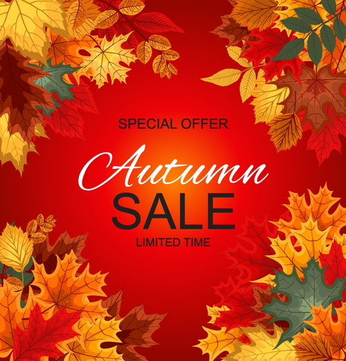 Autumn leaves frame with sale background vector