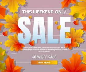 Autumn special offer sale backgorund vector