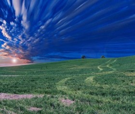 Beautiful grassland scenery Stock Photo