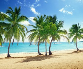 Beautiful ocean island Stock Photo 16