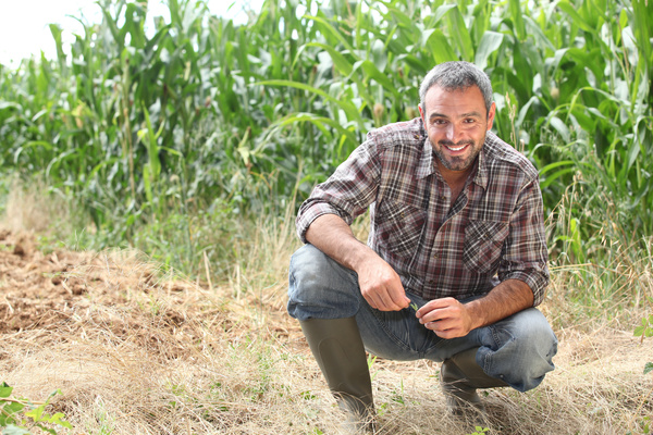 Farmers squatting in the fields Stock Photo